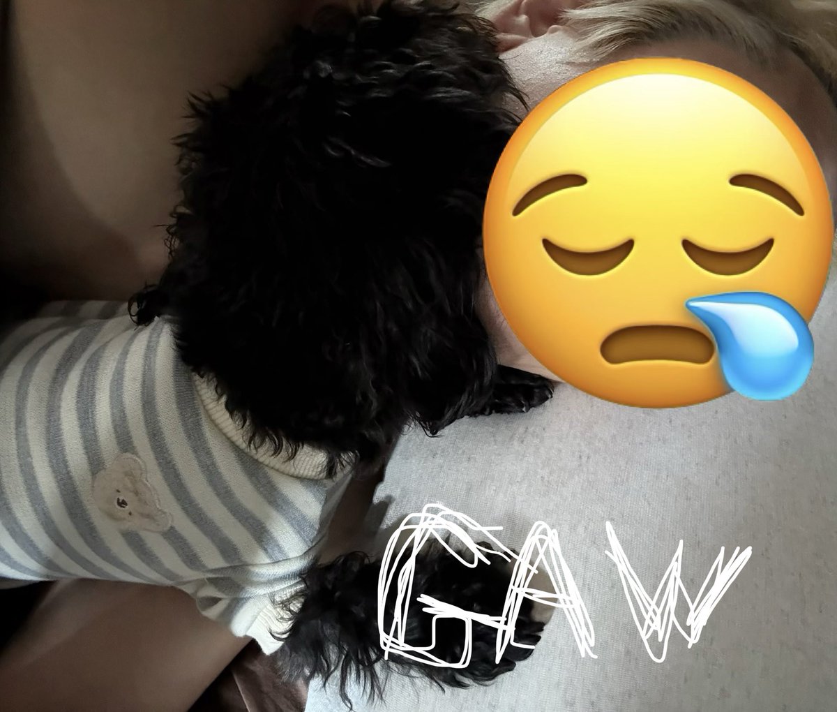 植田健一 / UNDER EDGE / ブルーペンギン / HIRUGI / tweet media