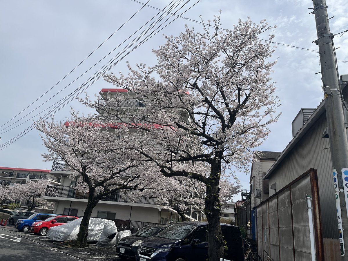 かずり tweet media