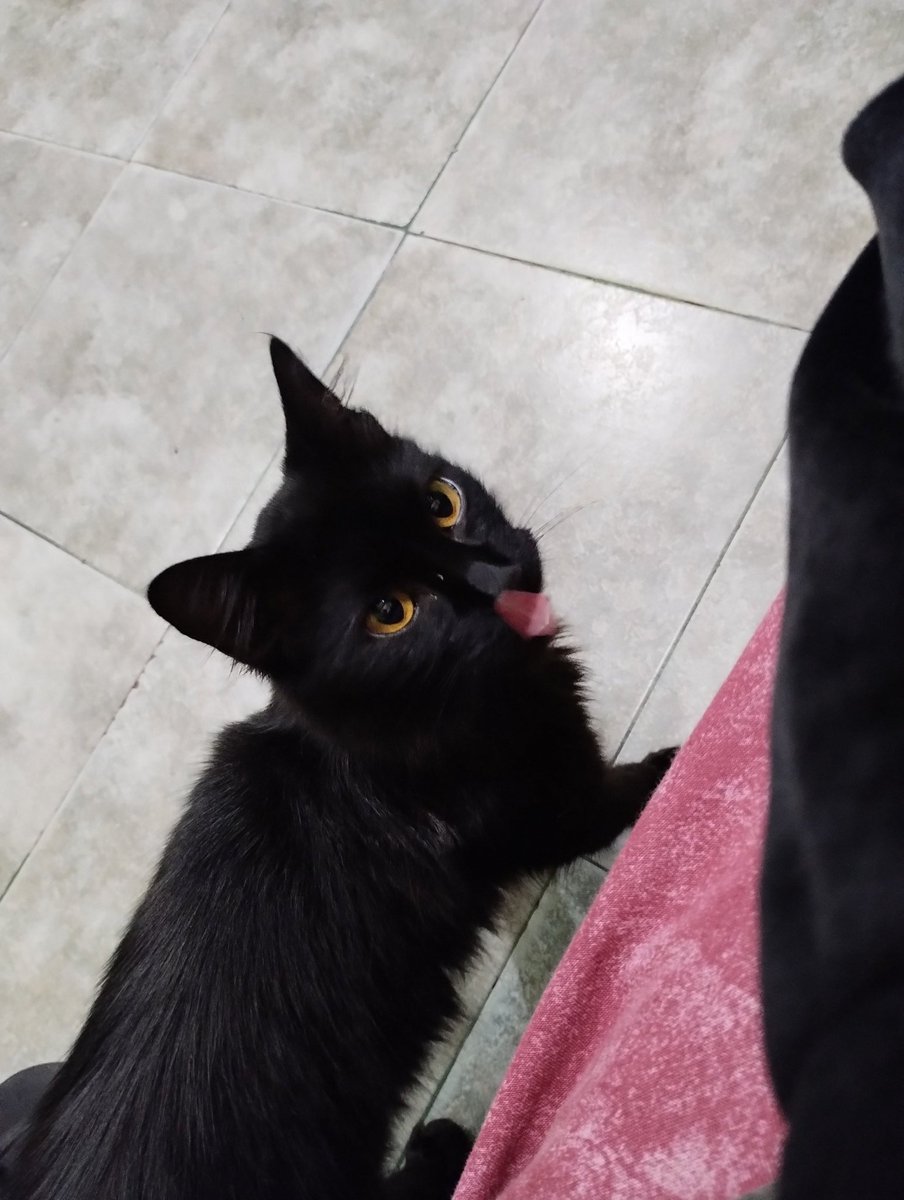 bren!! ⋆ ˚ 🪭 tweet media