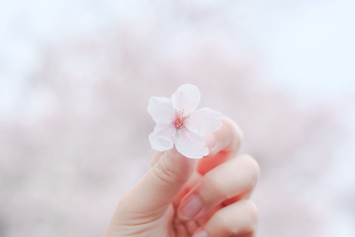 菊池真以 Kikuchi Mai tweet media