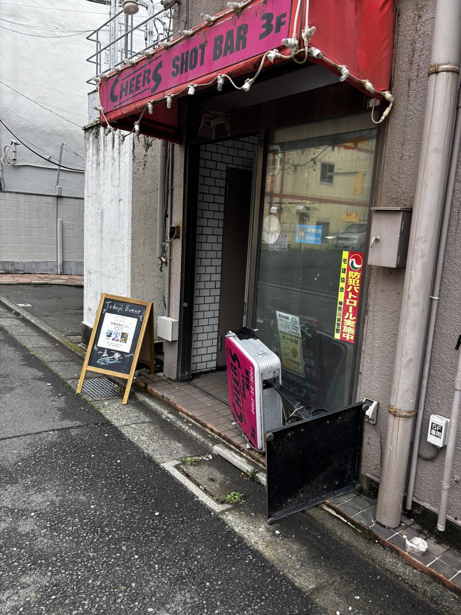 蓮音まゆ tweet media