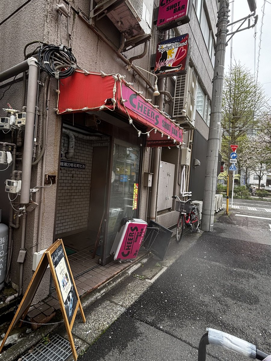 蓮音まゆ tweet media