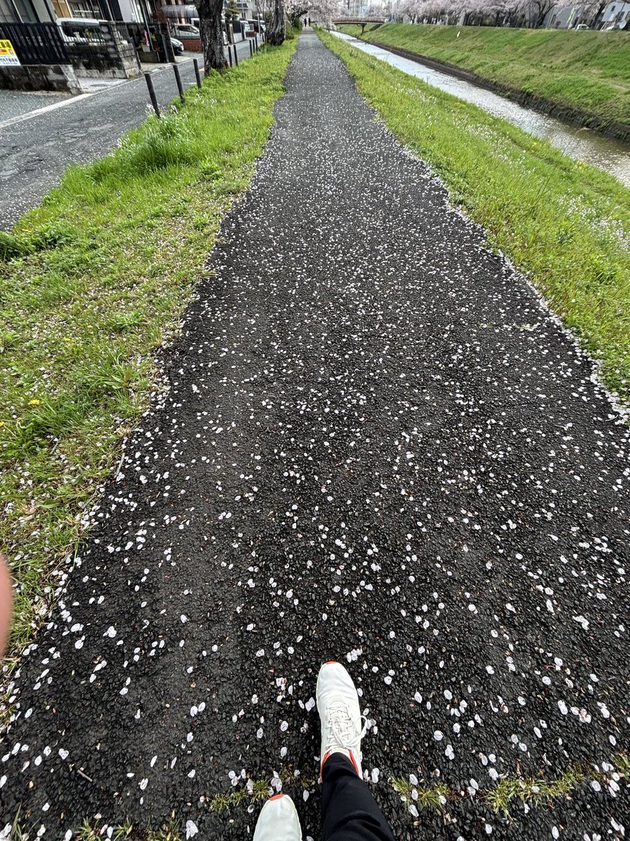 ZZy（じーじい） tweet media