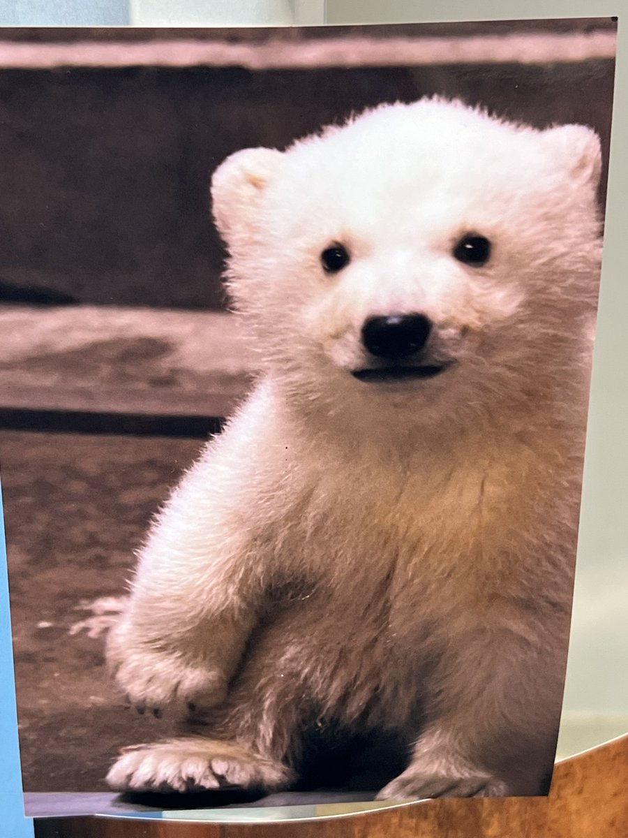 ファームゲームイーター=RT83 tweet media