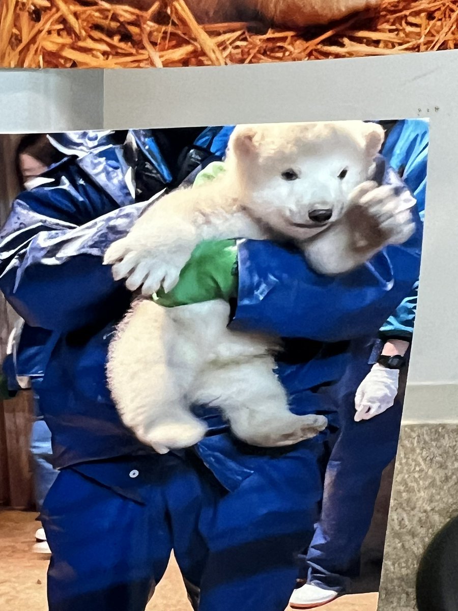 ファームゲームイーター=RT83 tweet media