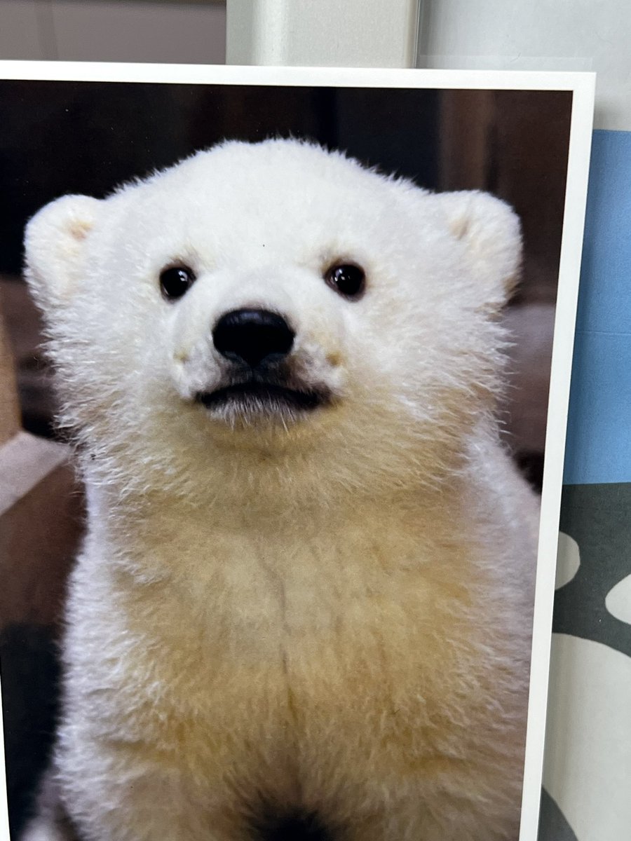 ファームゲームイーター=RT83 tweet media