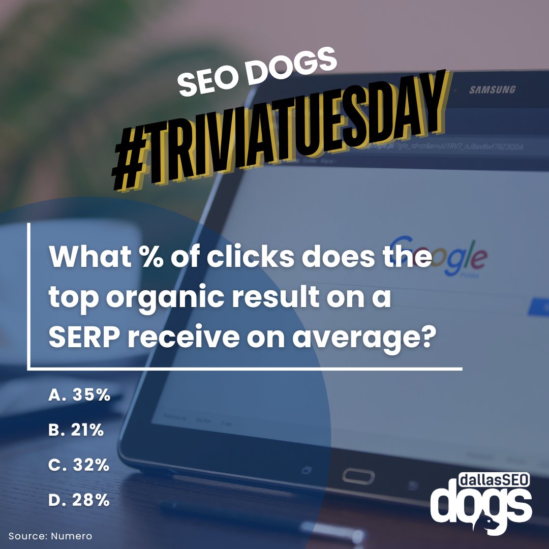 Dallas SEO Dogs tweet media