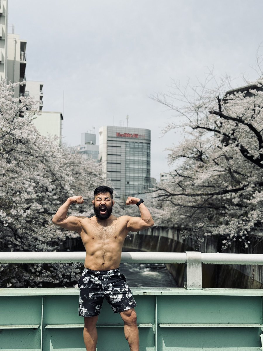 胸毛桜🌸