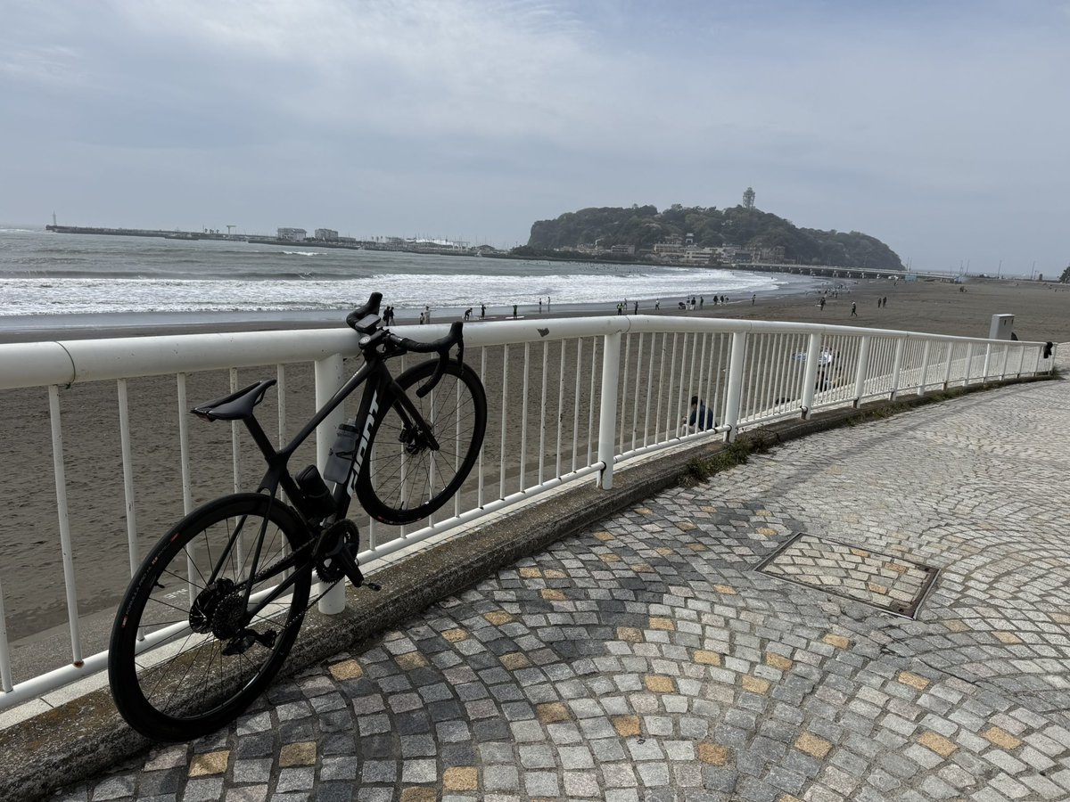 やました tweet media