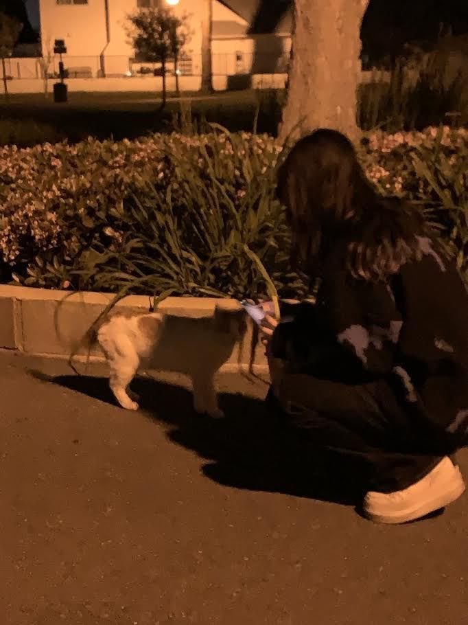 red #girlrules tweet media