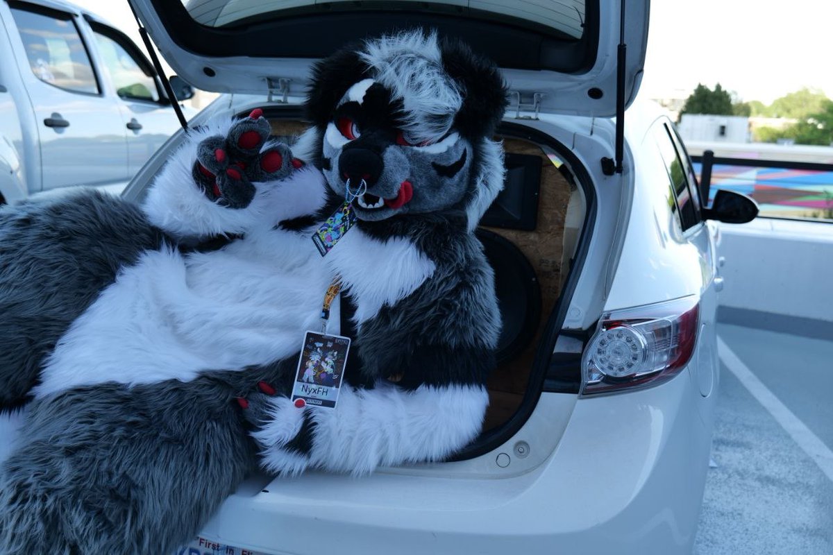 NyxFromHell's tweet photo. Just hanging around waiting for you to finish talking so can drive me to get my pup cup….

Thank you @StrykerJackal for this amazing pic at #BWS26 https://t.co/iIvsXrLjyl