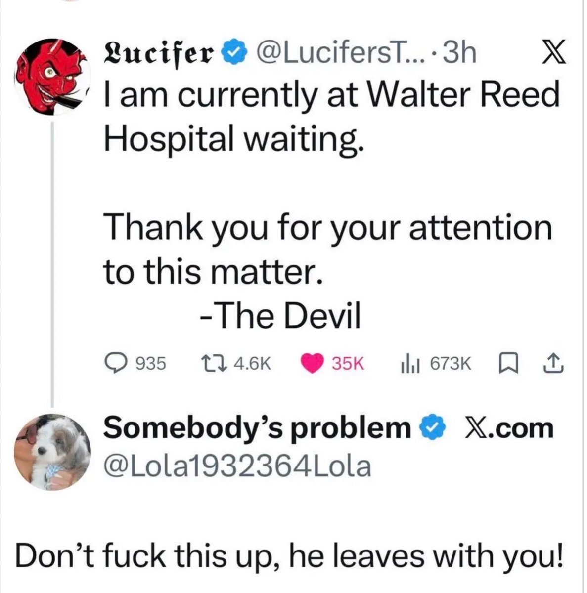 Sophie 🇺🇸🦩🌴 🏖😎🏝 tweet media