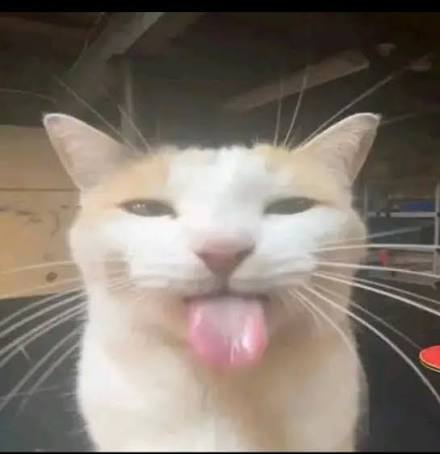 Uta 🏳️‍⚧️ tweet media