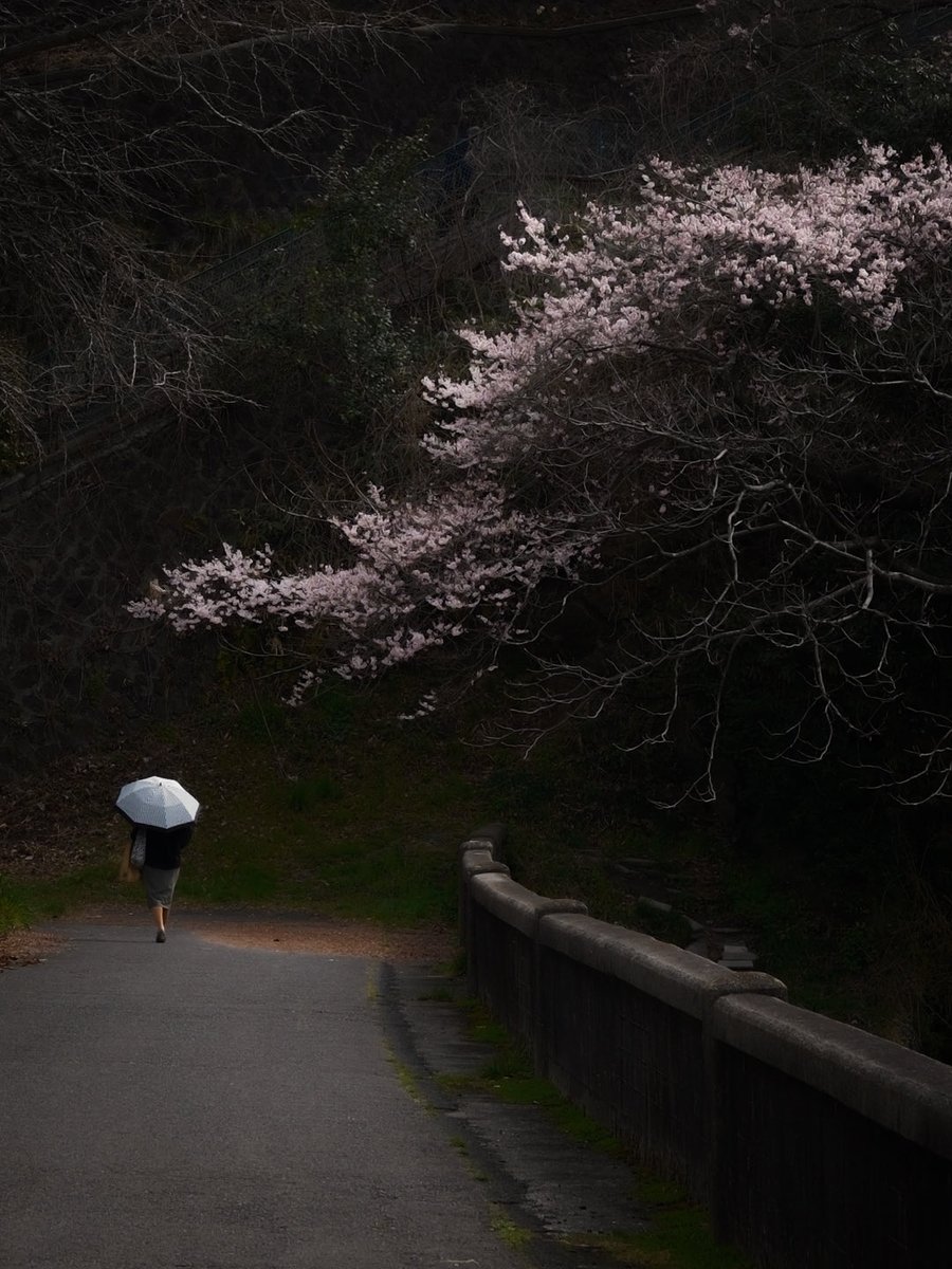 ReijiroSnap tweet media