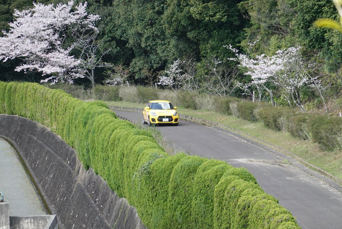 fiveten1010's tweet photo. 桜🌸コラボ　ラリー　スイフトスポーツ。楽しかった! https://t.co/97WVMZxGlB
