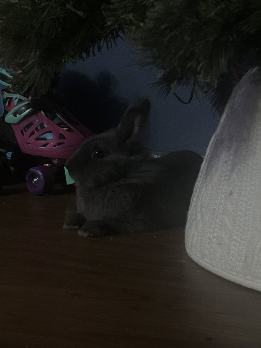 albie 🚗 tweet media