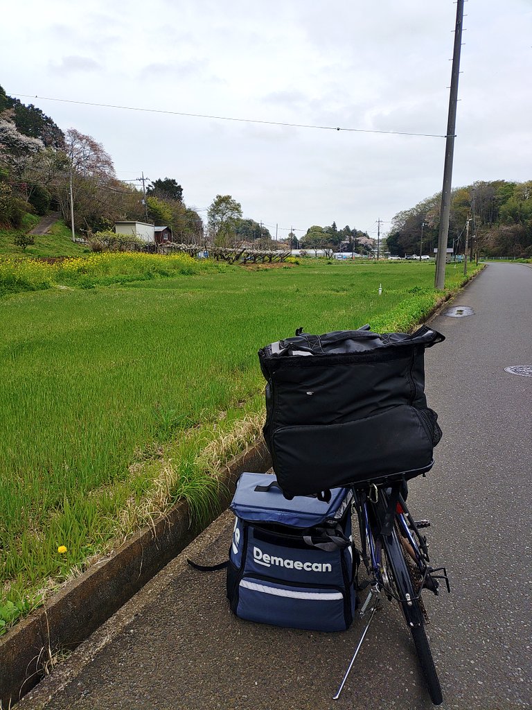 配達ねこ tweet media