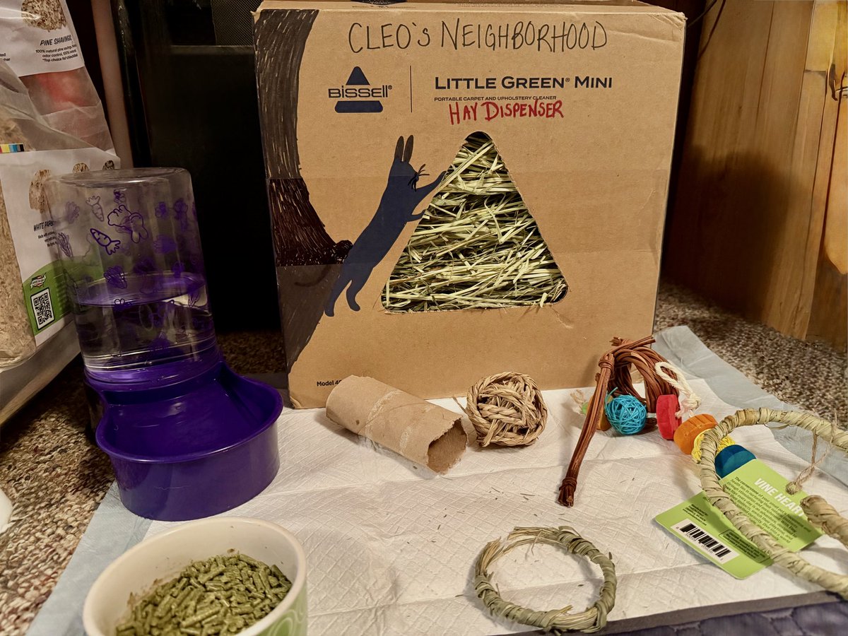 amber 🖤 tweet media