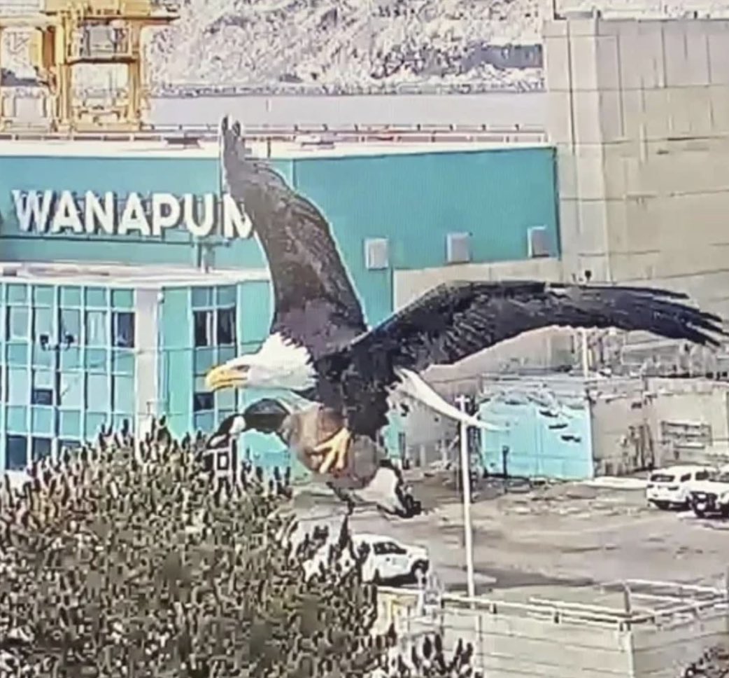 Dawson Romines ☧ tweet media