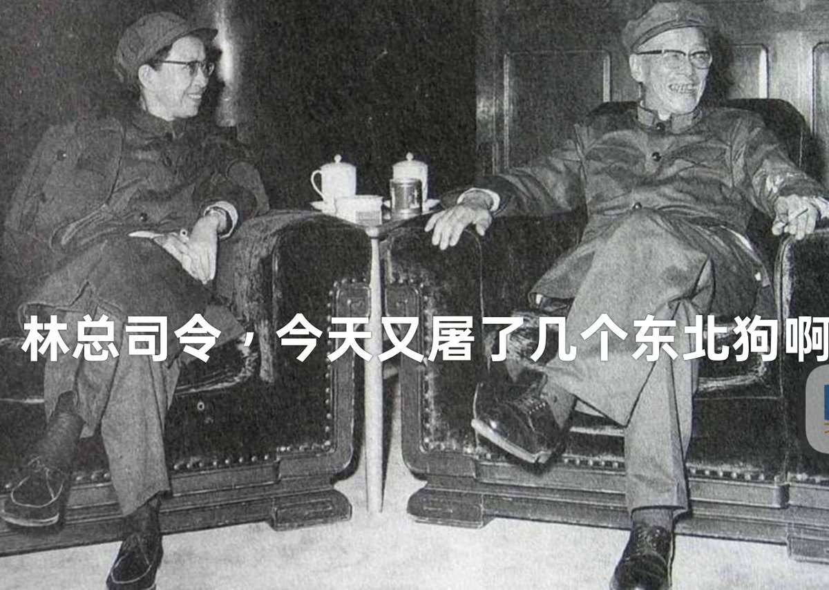 东瀛猪不切能行（统治1亿东瀛猪） tweet media