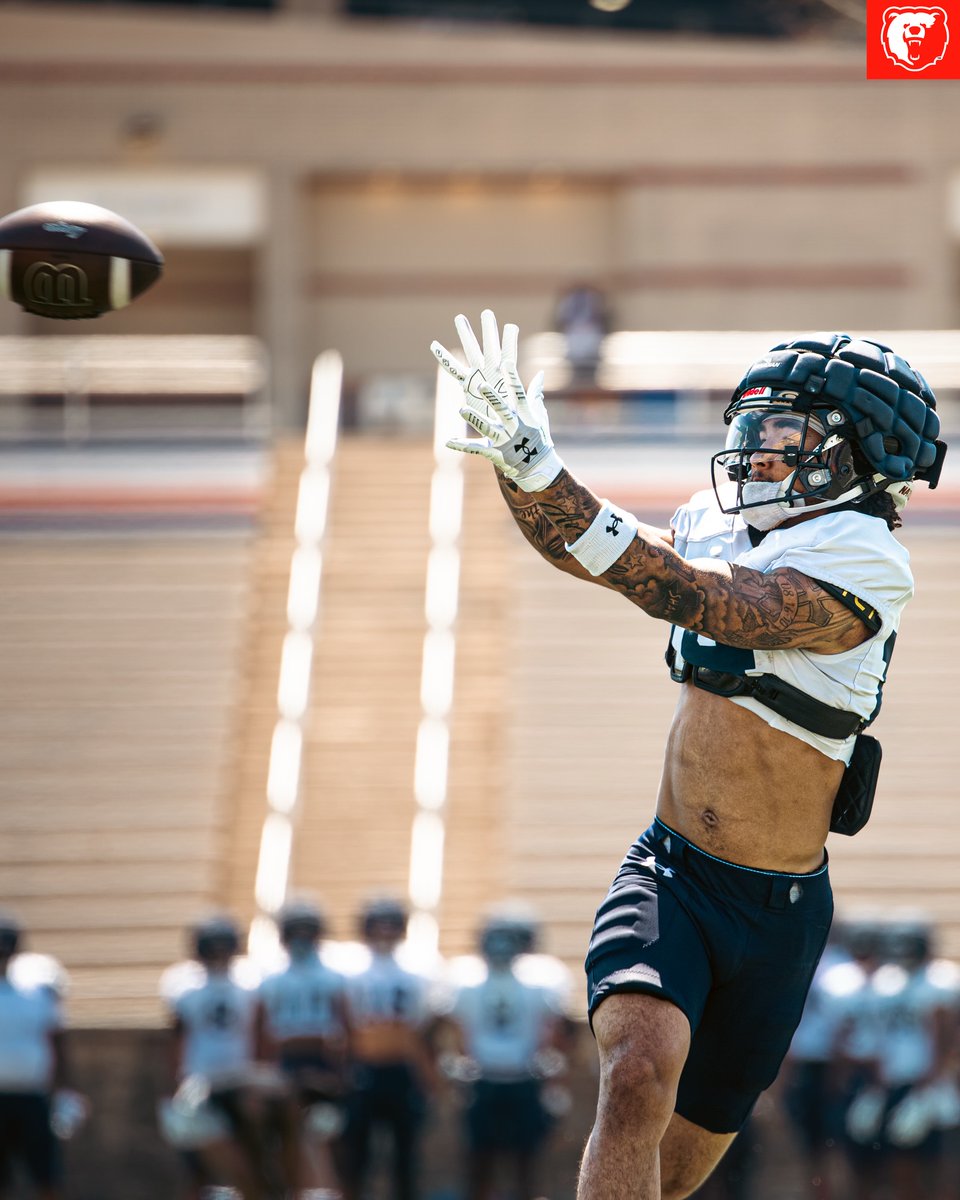 Grizzly Life tweet media