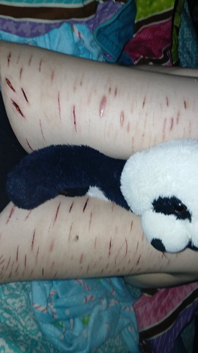 «☆Mylo/flamgo of shtwt♡» tweet media