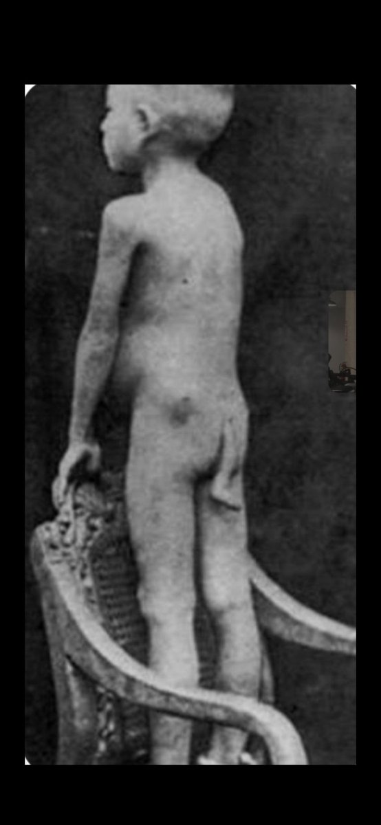 Mac ceo ✈ tweet media