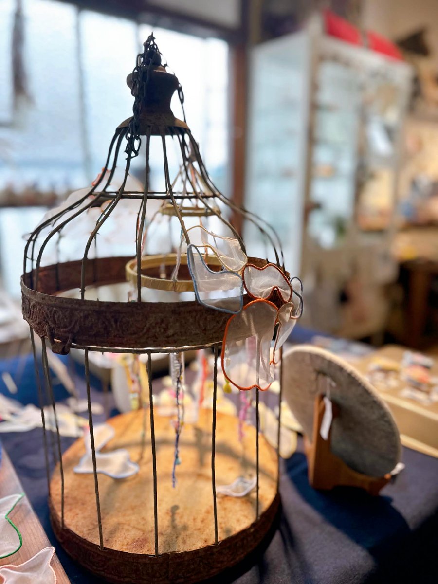 la potto. teto tweet media