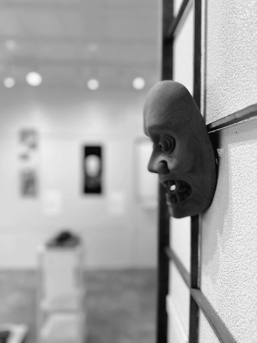 la potto. teto tweet media