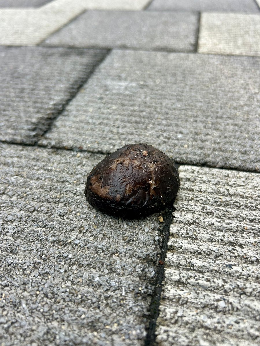 山口達也 tweet media