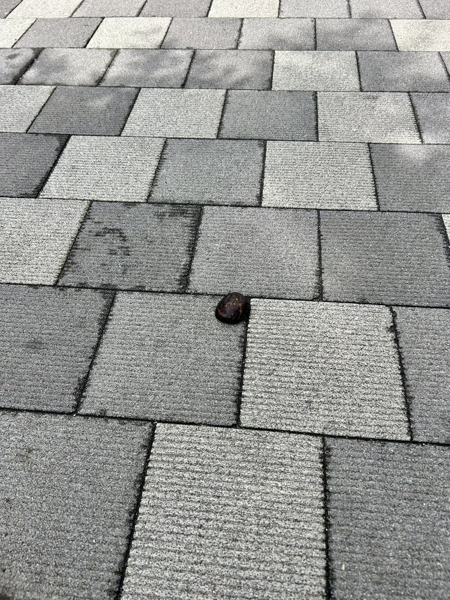 山口達也 tweet media