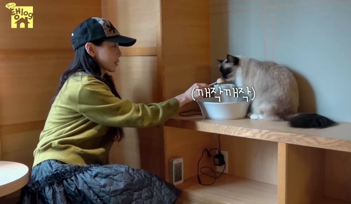 309KTYSS's tweet photo. [ENG SUB] [Taeng Log - Leaving the House] in Tokyo (feat. PinguxTaenggeu) 

[집 나간 탱log] in Tokyo (feat. 핑구x탱그)
📽️ https://t.co/4IK7VsNNON

#태연 #집나간탱log @TAEYEONsmtown https://t.co/7yktqLdFiE