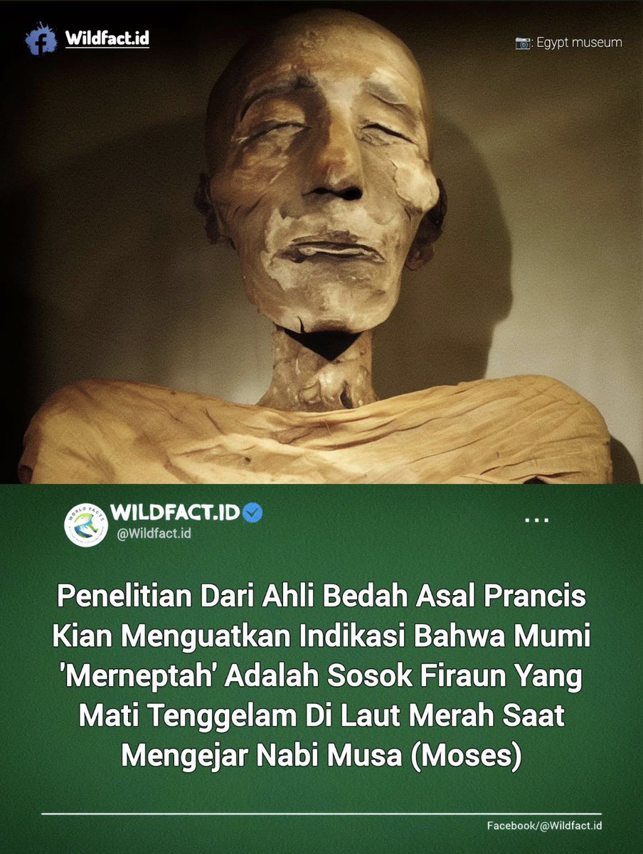 Windraaa tweet media