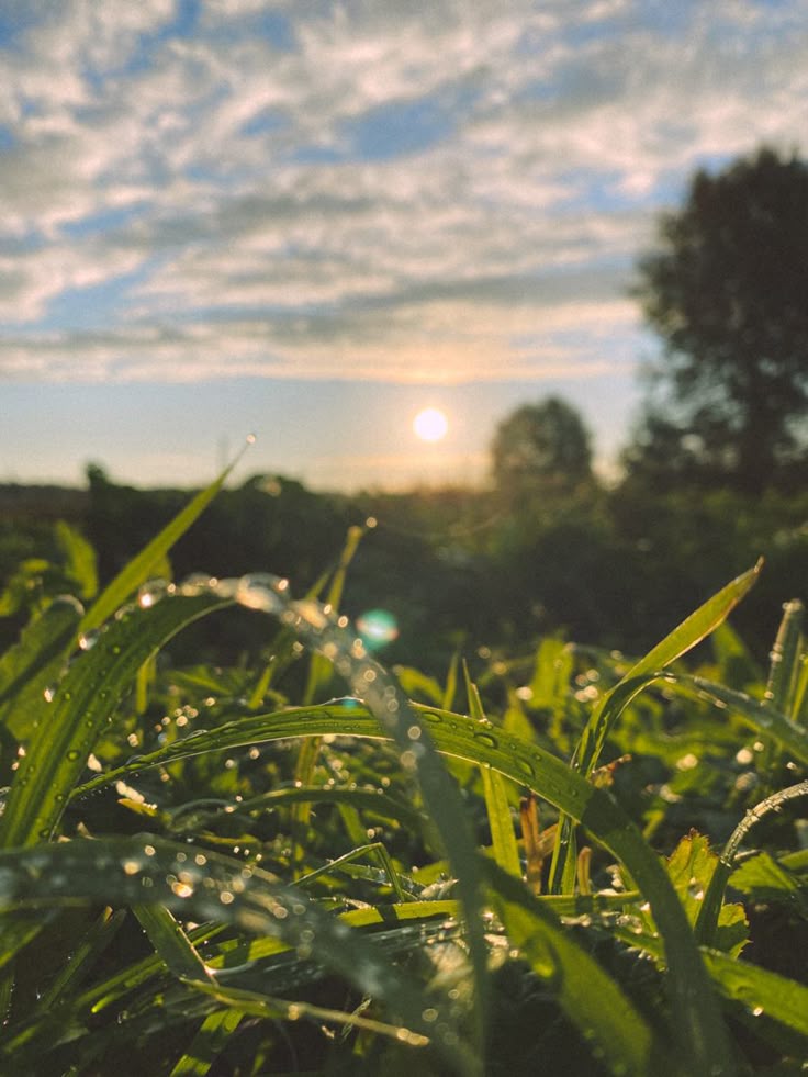 Fbriansyh tweet media