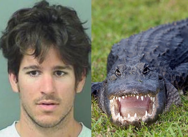 In October 2015, 23-year-old Joshua James threw a live 3.5-foot alligator through a Wendy's drive-thru window in Palm Beach County, Florida, after ordering a drink. The prank caused chaos but no injuries. 

He was arrested, charged with assault with a deadly weapon and alligator