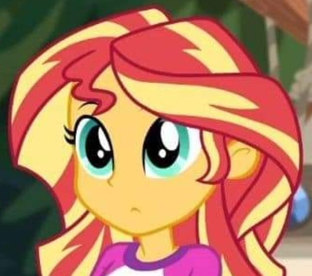 Sunset Spider tweet media