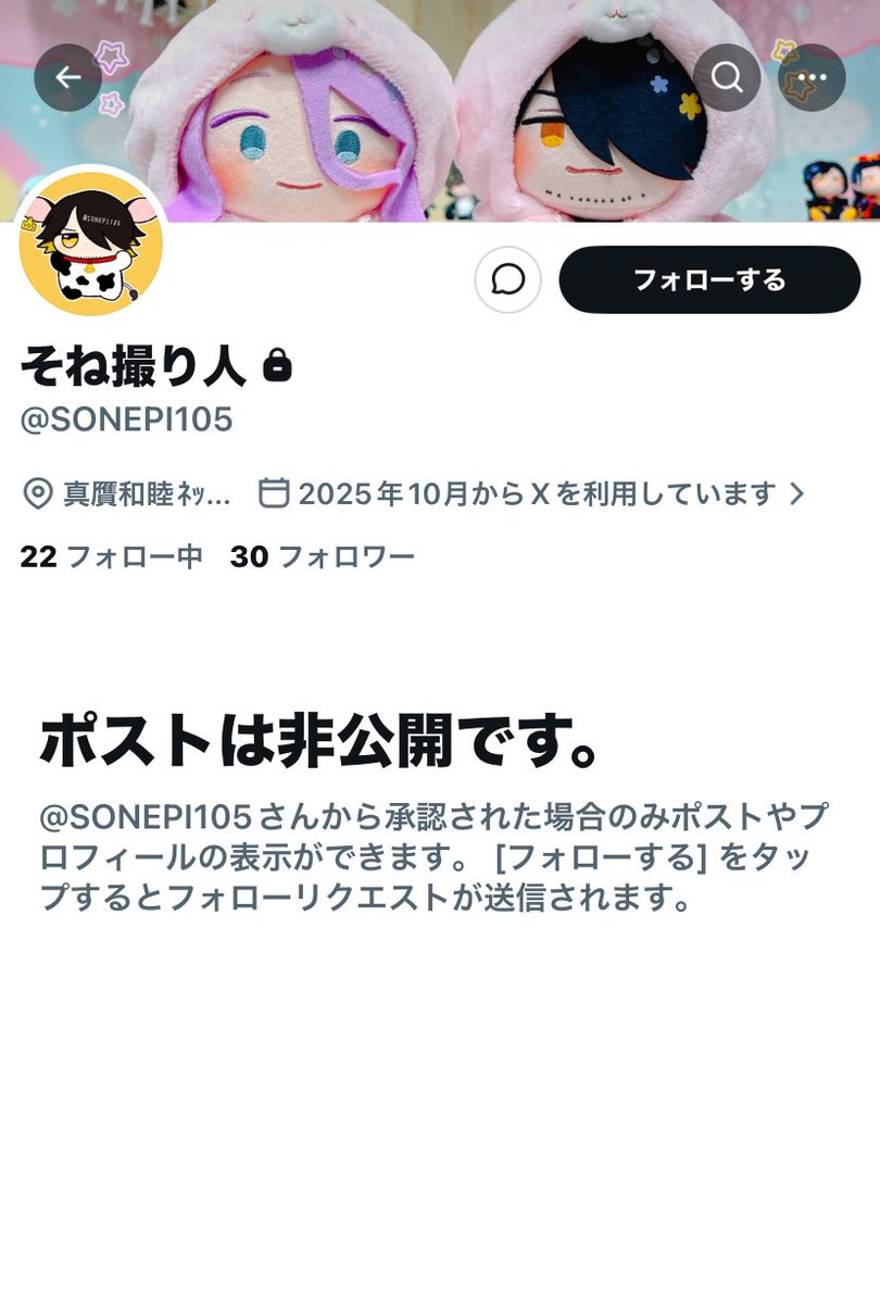 ﾌﾟｫｱちゃん tweet media