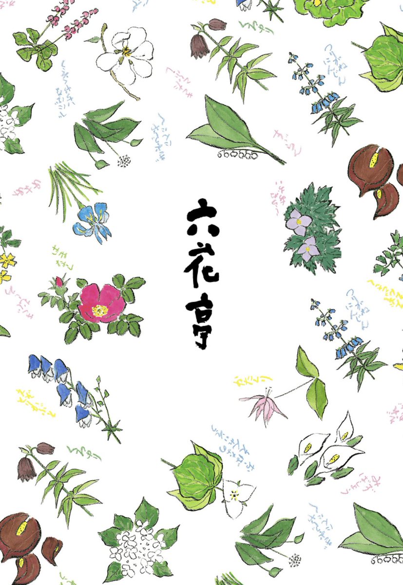 みどり子🇺🇸 tweet media