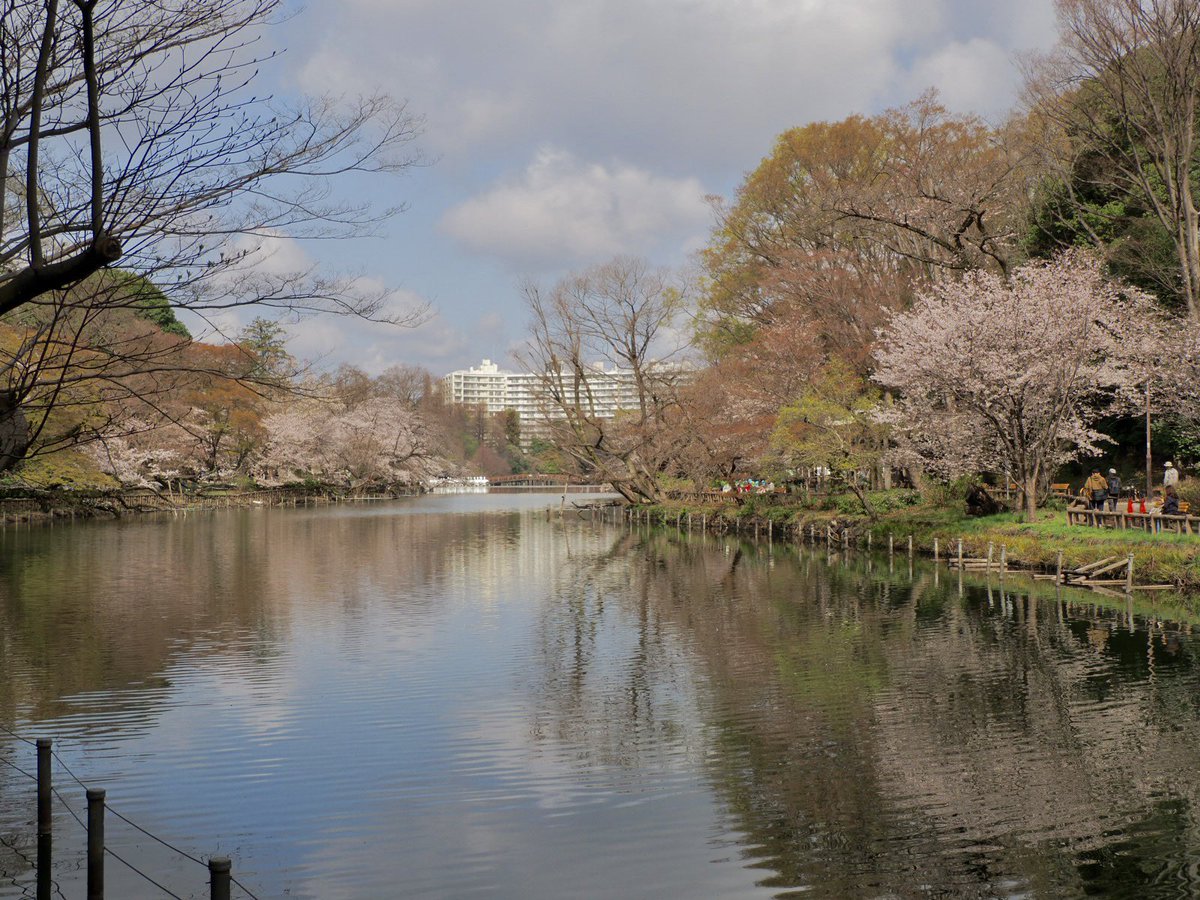 ロプロス tweet media