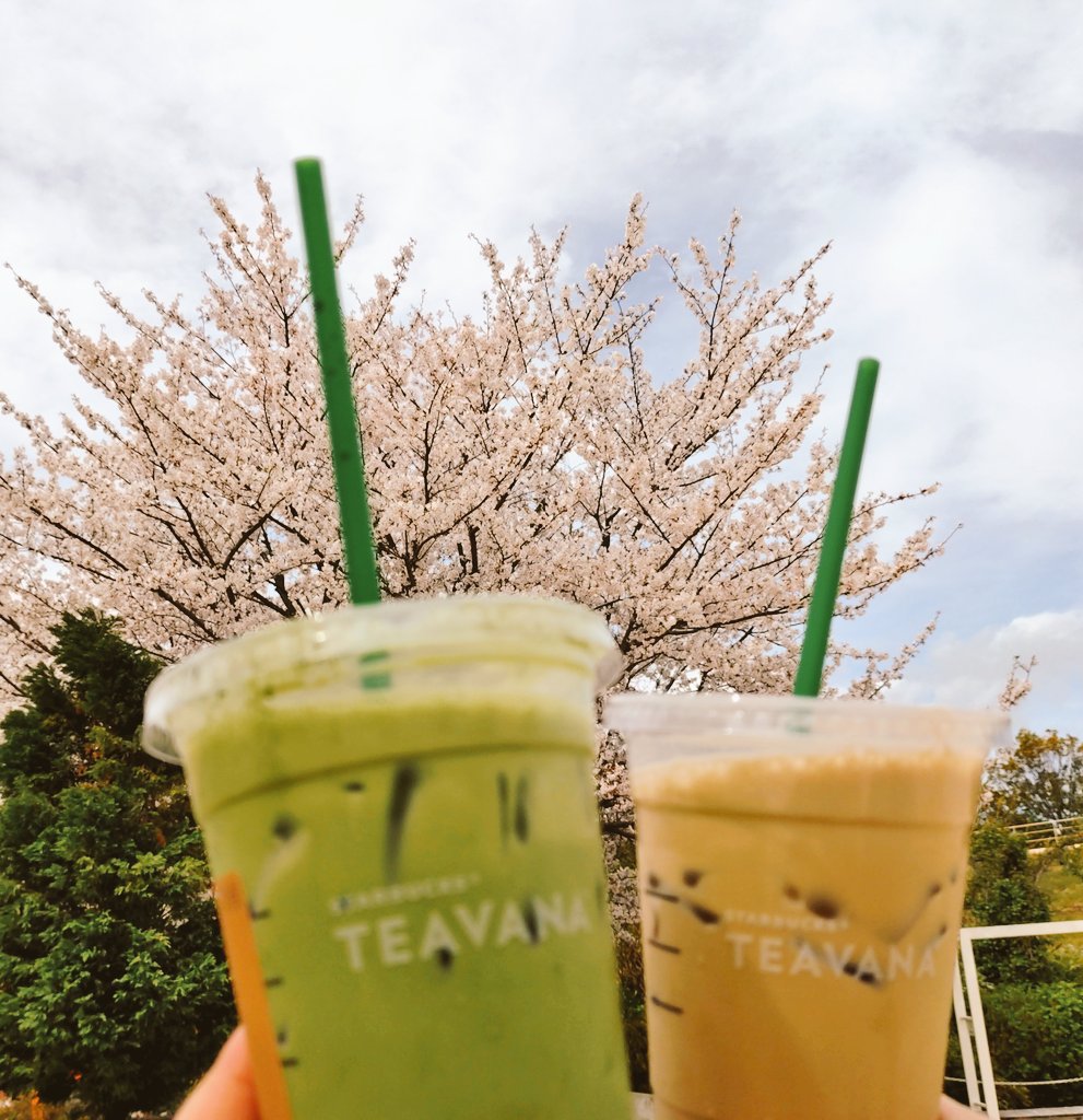 あきみ🍒 tweet media