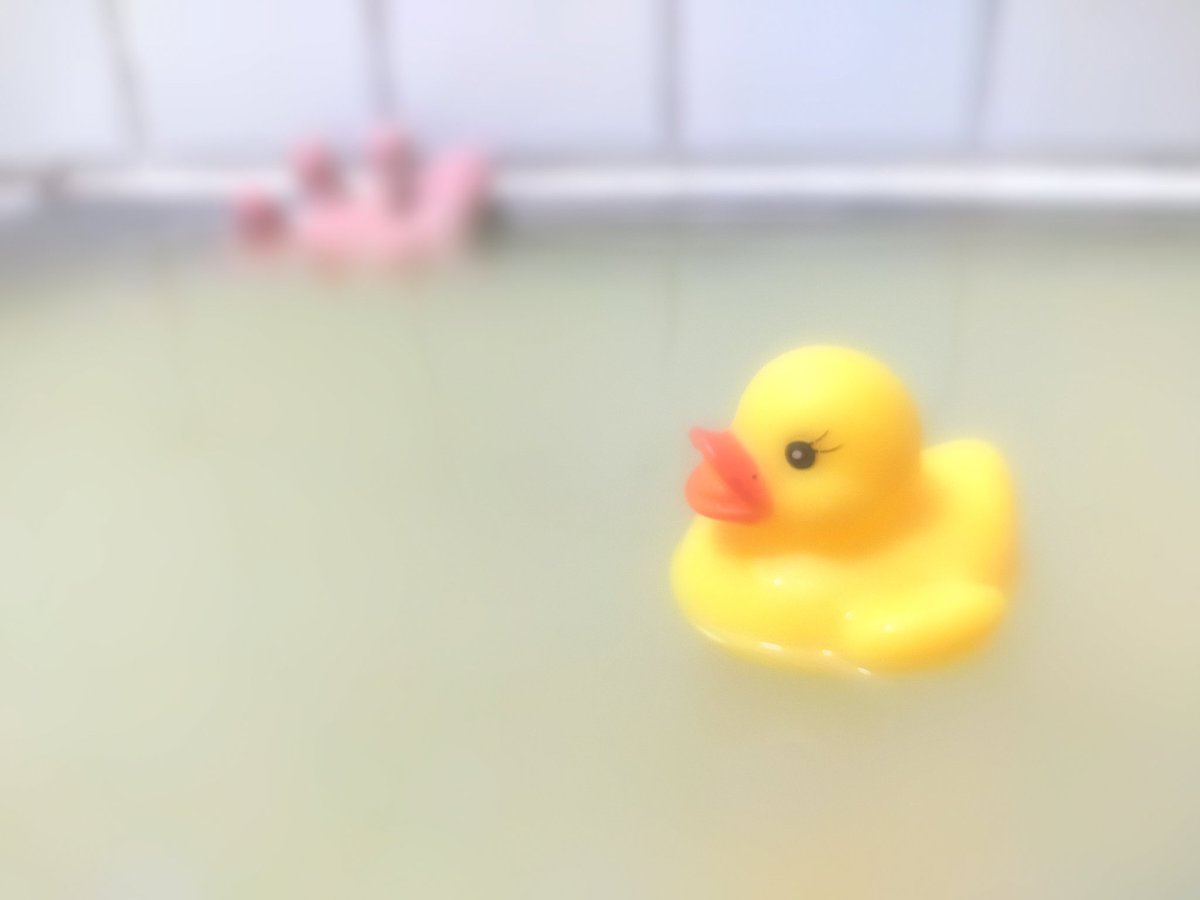 かなも🦥 (貧乏模活女) tweet media