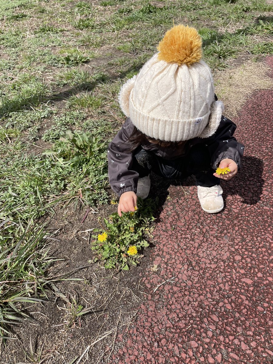 おいしょー tweet media