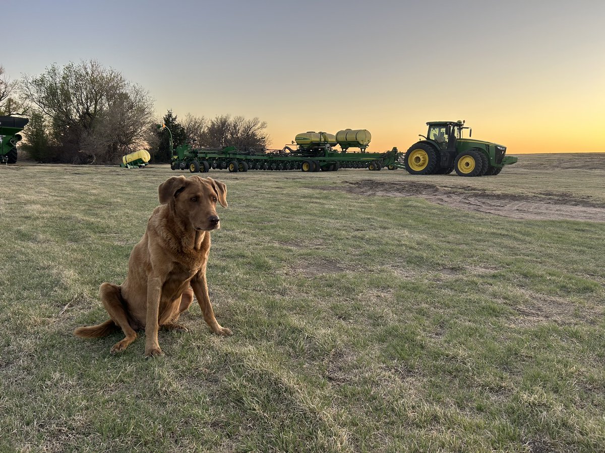 Alex Millershaski tweet media