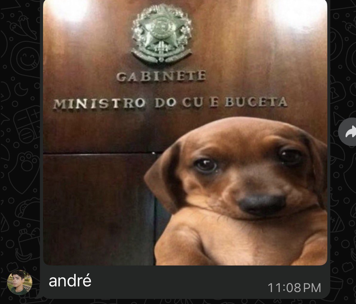 bailarina cosmica tweet media