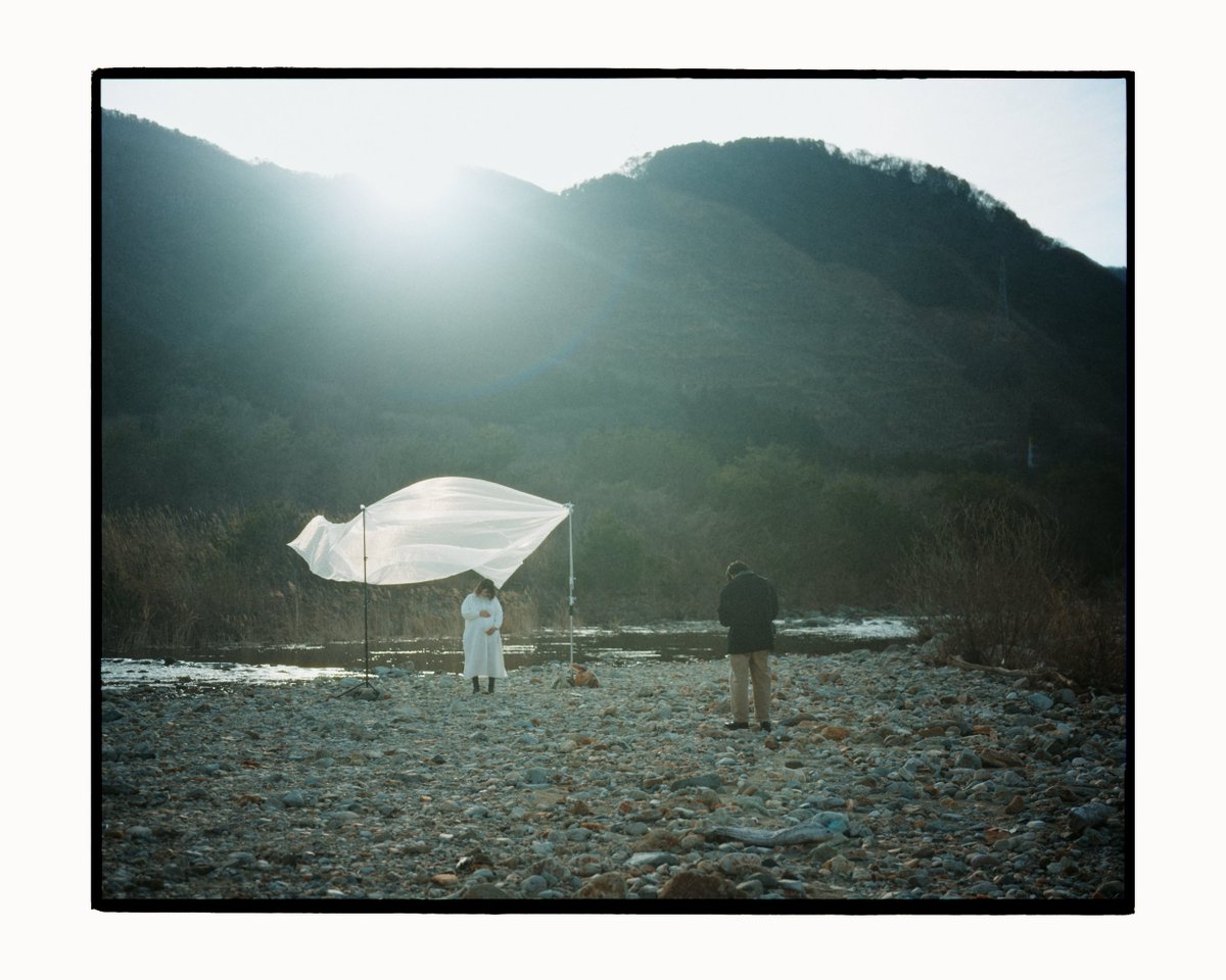 🌲🌲 tweet media