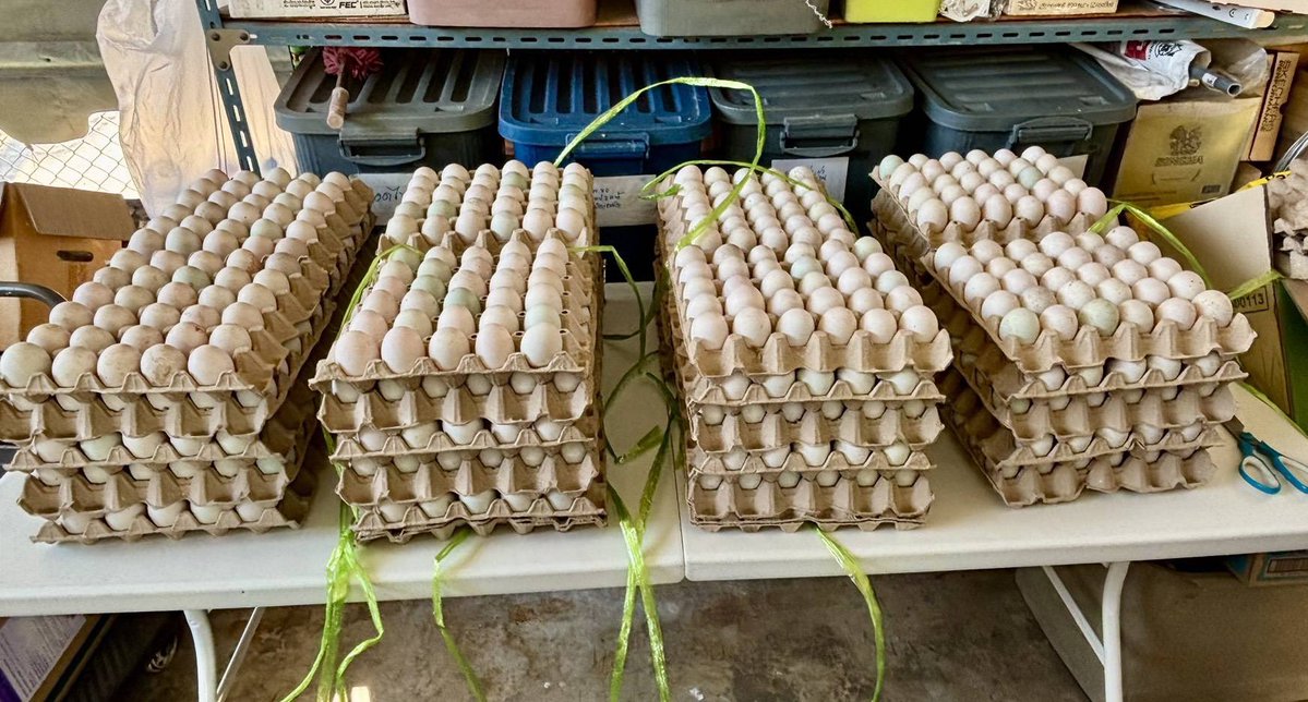 หมอวรงค์ tweet media