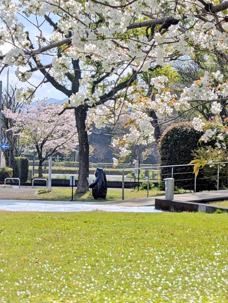 くまモンポート八代クルーズターミナル Kumamon Port Cruise Terminal tweet media