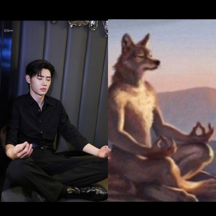 Viendo el ambiente de ahora decidí seguir siendo un ser de amor y paz, total para que ponerme pesada con temas que no se van a solucionar nunca

#ENGENEs_For_SevEN
#HYBECannotBeTrusted