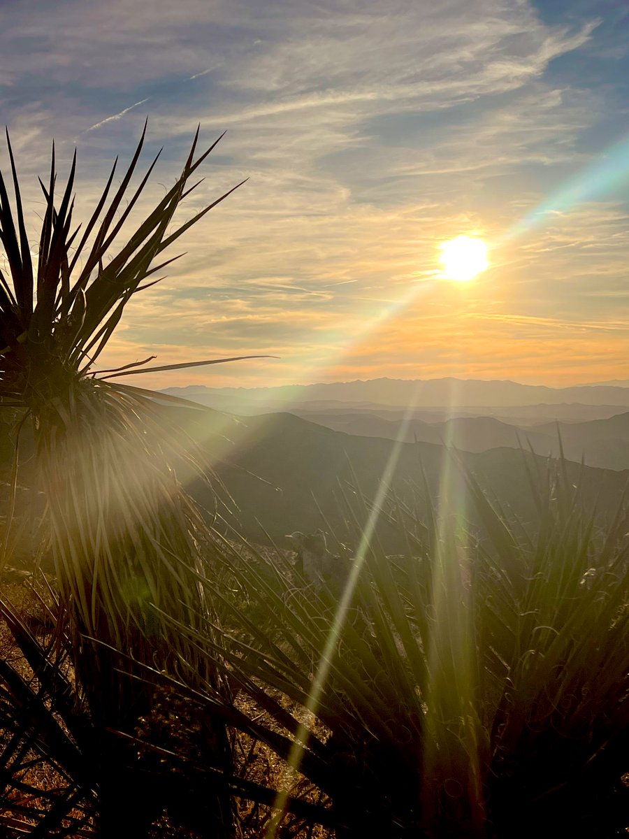 Flawwed1Art's tweet image. This evening will start off with some of the beautiful plant life of the high desert. Various cacti, yucca and Joshua trees. These were all taken near gold in the hills scenic view. From this perspective, it gives a better angle on the valley below.

#Karvan #Caravan #StarForge