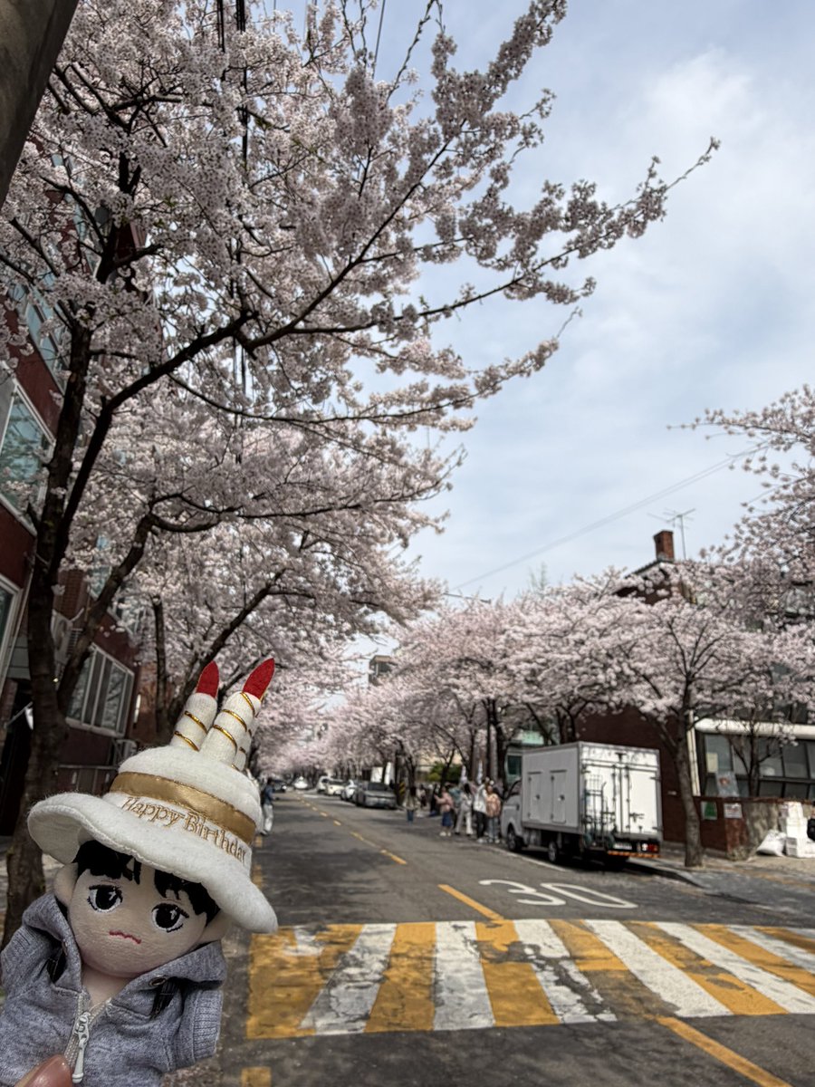 𝕐𝕆𝕂.°ʚɞ° tweet media